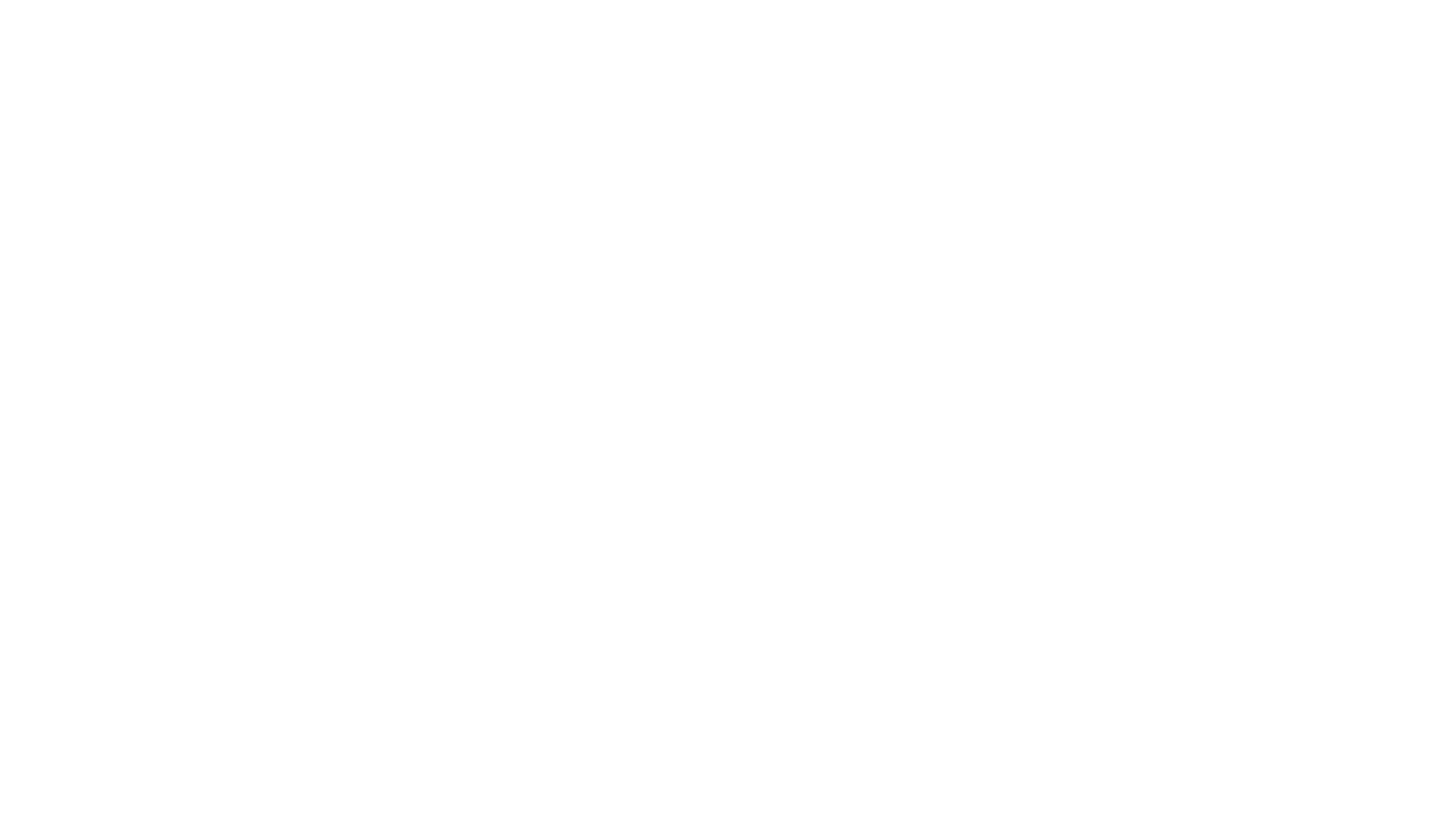 Bailey Ross Visuals