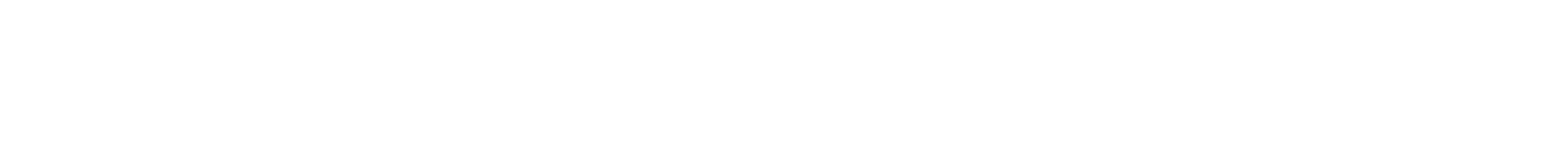 Bailey Ross Visuals